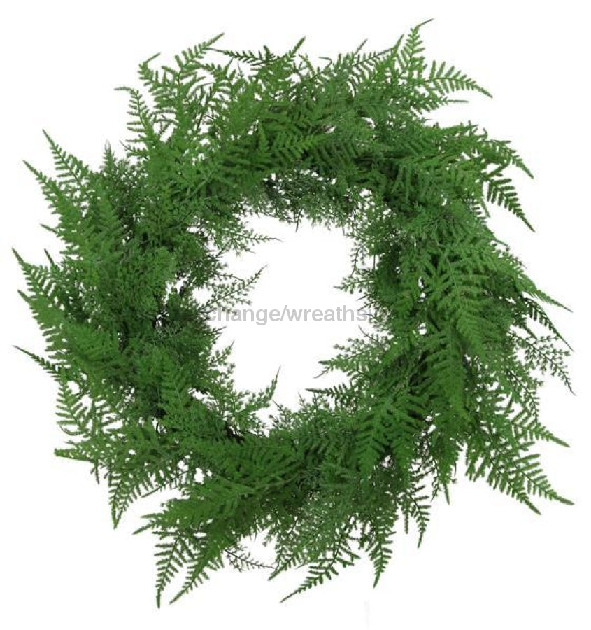24"Dia Asparagus Fern Wreath Green FG6086 DecoExchange®