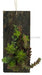12"H X 5"W Succulent Wall Plaque Multi Green/Black/Cream FC2197 - DecoExchange