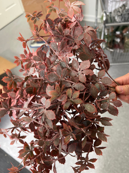 16In Plastic Sweetgum Leaves Bush Flocked Bg/Gr IP530076 Pick