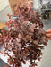 16In Plastic Sweetgum Leaves Bush Flocked Bg/Gr IP530076 Pick