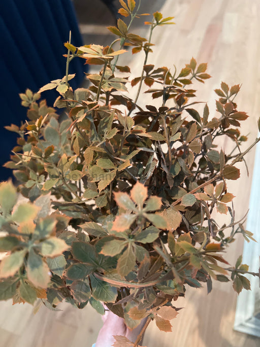 16In Plastic Sweetgum Leaves Bush Flocked Fall Mix IP530075 Pick