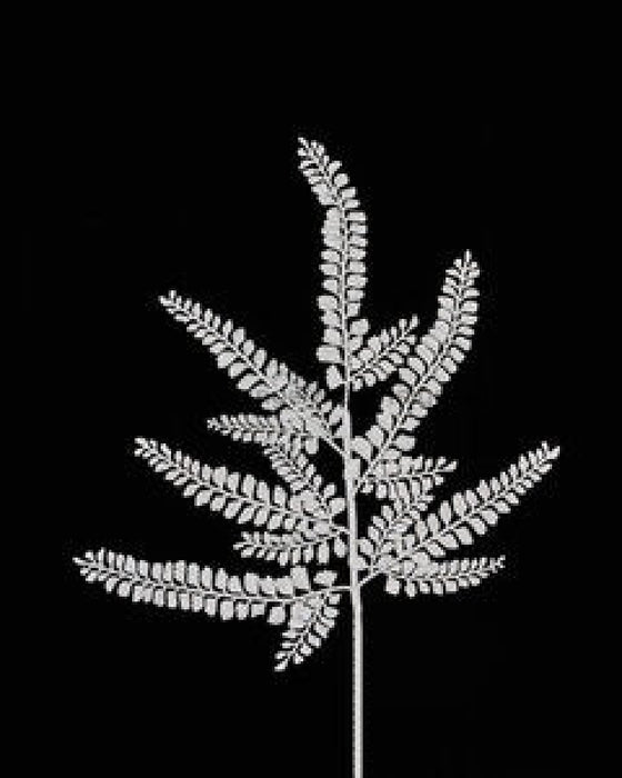 16’L Glitter Fern Spray X6 Laser Silver Xs236426 Pick