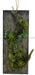 19.75"H X 8"W Succulent Wall Plaque Multi Green/Black/Cream FC2198 - DecoExchange