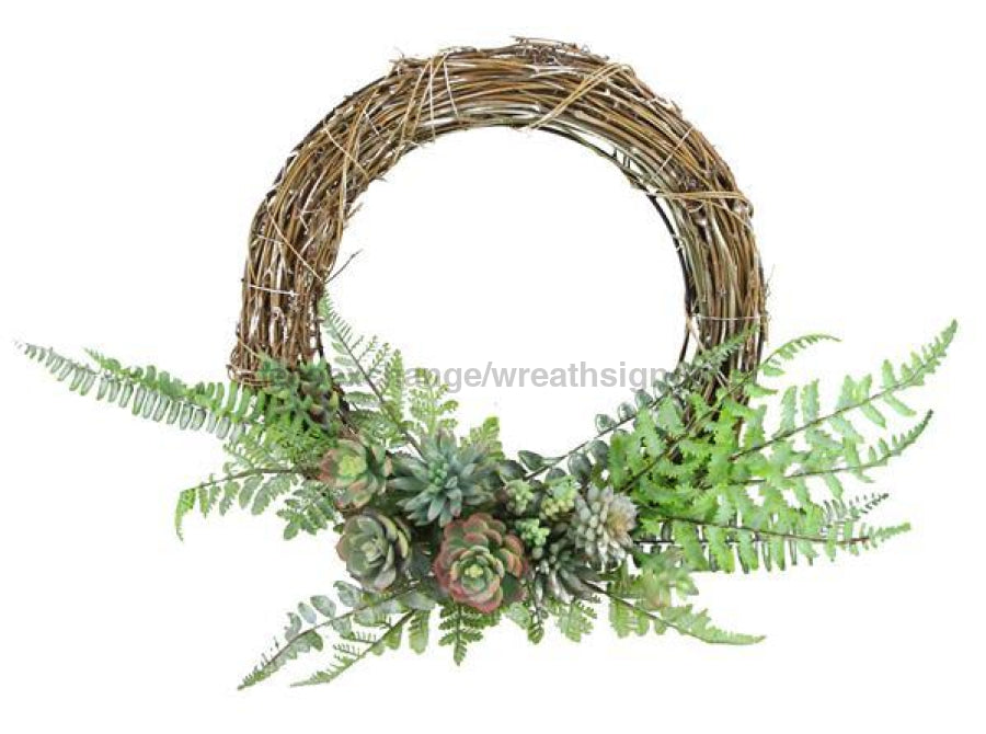 22"Dia Grapevine/Fern/Succulent Wreath Natural/Green/Grey TW3142 - DecoExchange