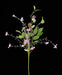 22L Bead Spike/Flower Spray Lavender Fh807913 Greenery