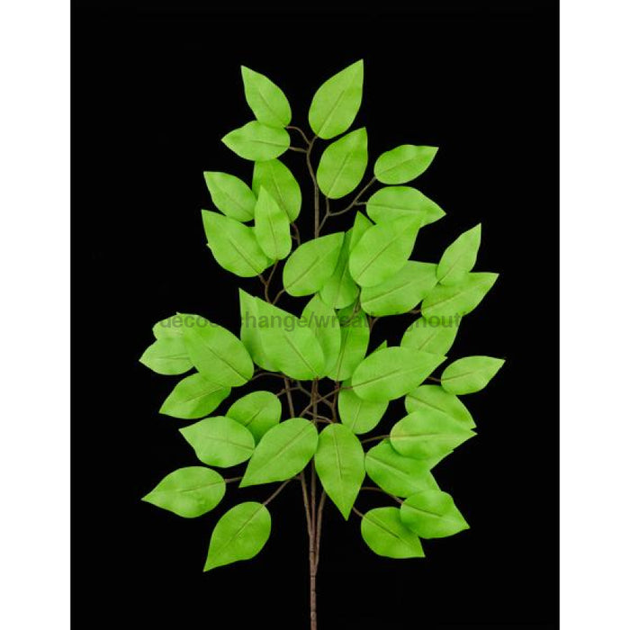 23L Ficus Spray 12Pcs/Bdl Lime Green Fg633739 Greenery