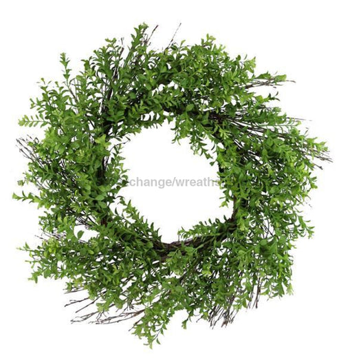 24"Dia Boxwood Wreath Yellow Green FR6588 - DecoExchange