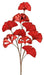 28’L Ginkgo Leaf Spray Red Xs210624 Greenery