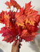 Maple Fallbush X 8 Org/Mx 97531 - DecoExchange®