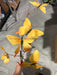 37In Butterfly Spray PS1018 YELLOW ORANGE Pick