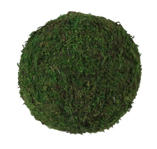 3’Dia Moss Ball Green Kc1054 Greenery