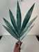 58.5Cm Palmetto Leaves Pick In Ice Blue (Product Code: Get-151456)