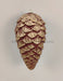 9 In Hanging Pine Cone 32180 DK.RDGD Attachent