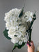Hydrangea Bushx5 W/Glit Cm 46642 - DecoExchange®