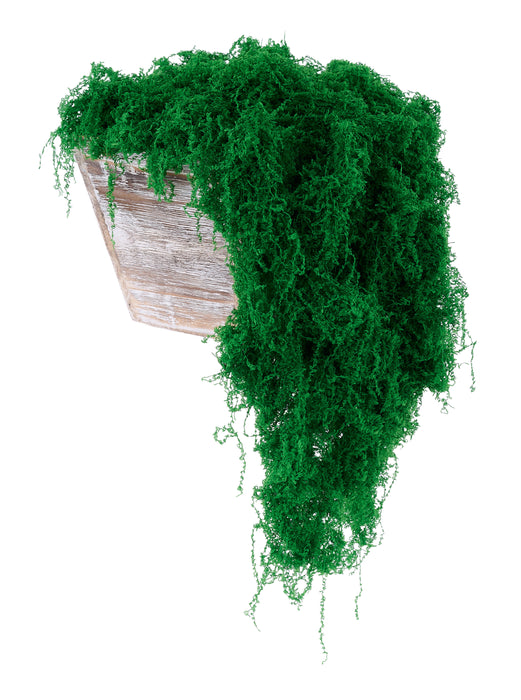 100G Fabric Moss In Bag Green MD175509