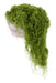 100G Fabric Moss In Bag Light Green MD175530 - DecoExchange®