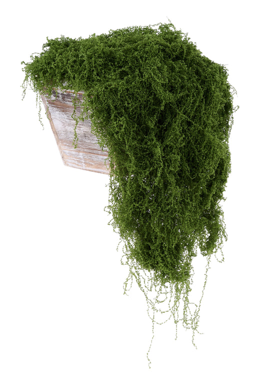 100G Fabric Moss In Bag Dark Green MD175531 - DecoExchange®