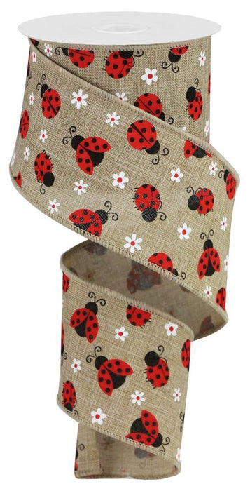 2.5"X10Yd Mini Ladybugs On Royal Lt Beige/Red/White RGA162301