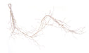 6'L Snow Flocked Wild Twig Garland Natural/White XG7026 - DecoExchange®