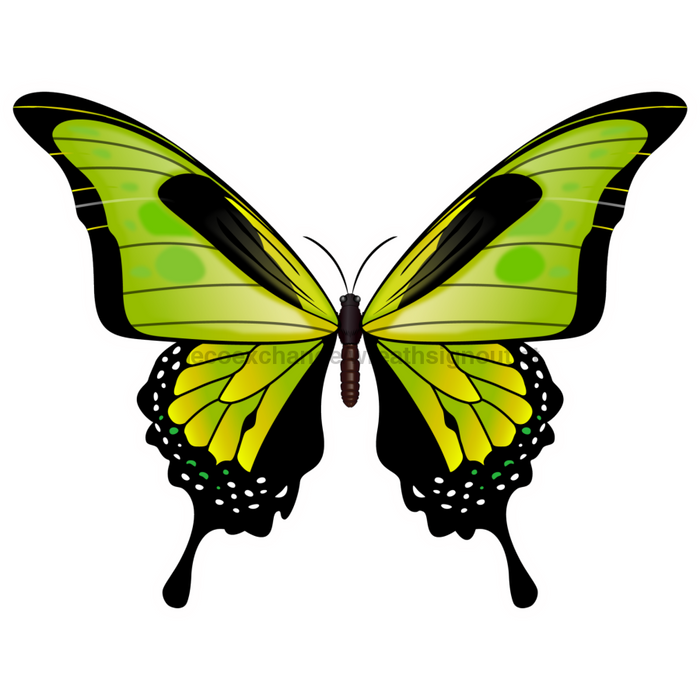 Butterfly Door Hanger Green Decoe-W-903733-Dh 22’ Wood
