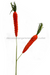 Carrot Spray - Orange 2 Heads 30 63436Or Pick