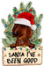 Christmas Dog Sign Wood Sign Door Hanger Decoe-W-445 22