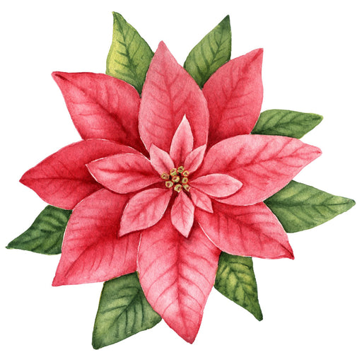 Christmas Sign Pink Poinsettia Wood Sign Decoe-W-903432 22 Door Hanger