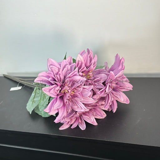 Dlxe Dahlia X 5 Purple 21395 Greenery