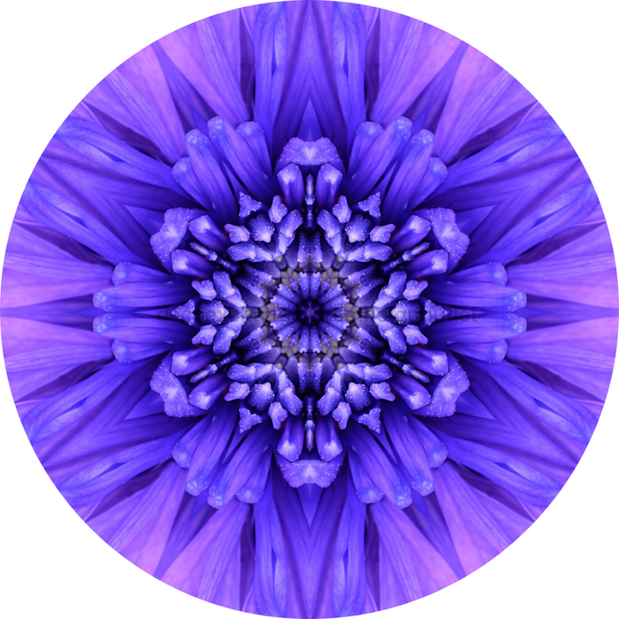 Geometric Flower Center Blue Decoe-W-Fc-0012 6 Wood