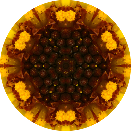 Geometric Flower Center Brown Decoe-W-Fc-0013 6 Wood