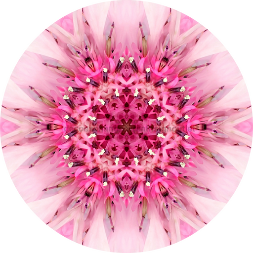 Geometric Flower Center Pink Decoe-W-Fc-0007 6 Wood