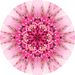 Geometric Flower Center Pink Decoe-W-Fc-0007 6 Wood