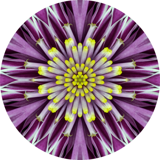 Geometric Flower Center Purple Decoe-W-Fc-0014 6 Wood
