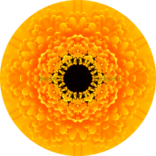 Geometric Flower Center Yellow Decoe-Fc-0008 6 metal