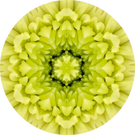 Geometric Flower Center Yellow Decoe-W-Fc-0011 6 Wood