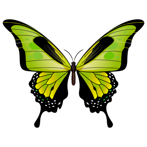 Green Butterfly Wood Wreath Sign Decoe-W-903733 14’