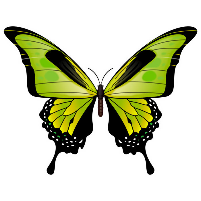 Green Butterfly Wood Wreath Sign Decoe-W-903733 14’