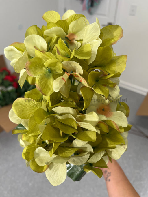 Hydrangea Bush X 5 Green 21643 Greenery