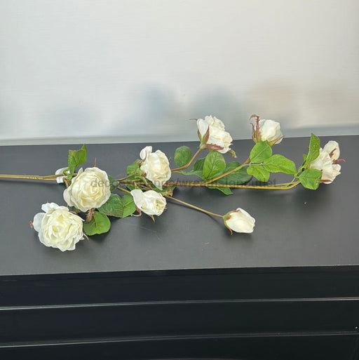 Just Cut Garden Rose Branch 37’ White Mtf24289 Pick
