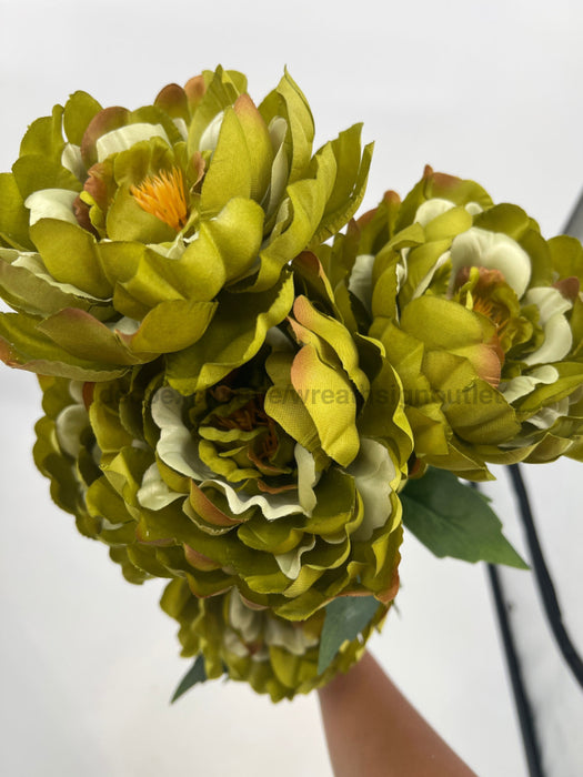 Peony Fall Bush X 7 Green 22206 Pick