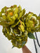 Peony Fall Bush X 7 Green 22206 Pick