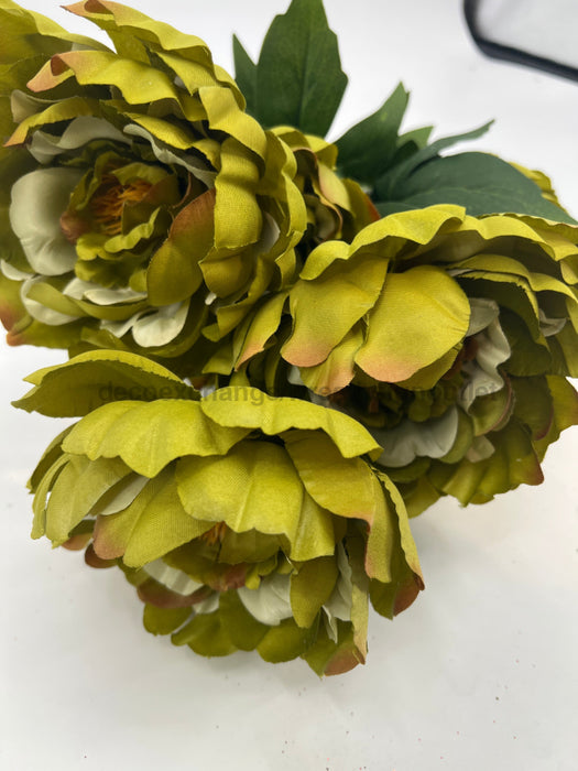 Peony Fall Bush X 7 Green 22206 Pick