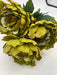 Peony Fall Bush X 7 Green 22206 Pick