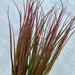 Plastic Long Grass Bush Bty 43866 Greenery