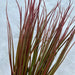 Plastic Long Grass Bush Bty 43866 Greenery