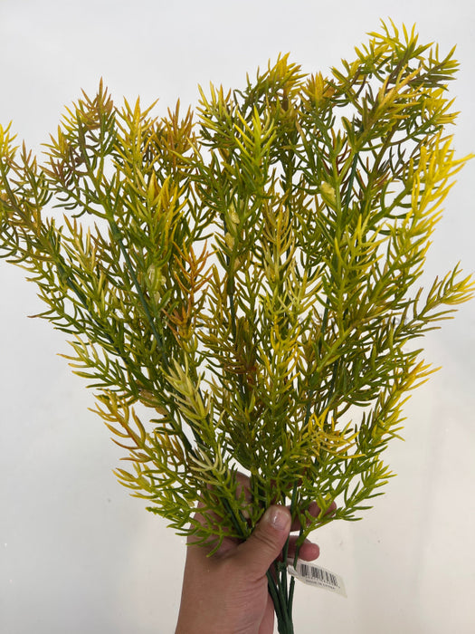 Pls Rosemary Bshx7 Yellow Brown 58582 Pick