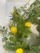 Simple Lemon Wreath - DecoExchange
