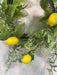 Simple Lemon Wreath - DecoExchange