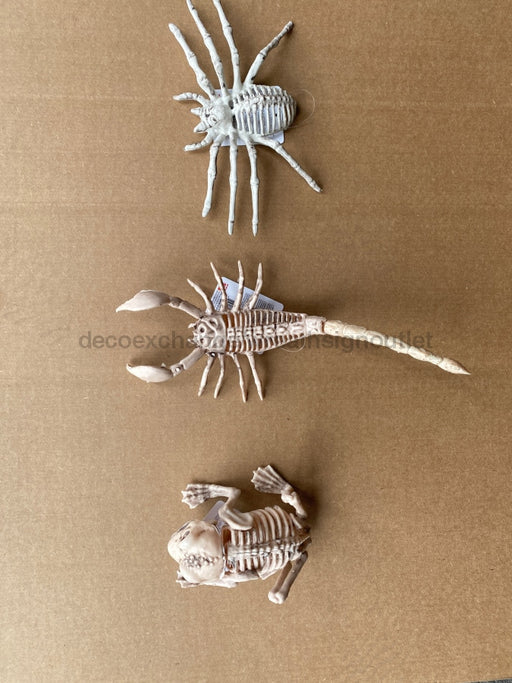 Skeleton Aminal Assort set of 3 94387 - DecoExchange