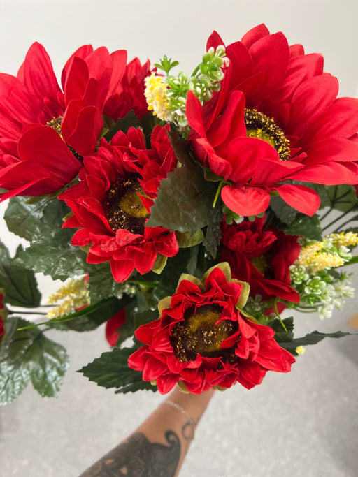 Sunflower Mx Bshx24 Red 11644 Greenery